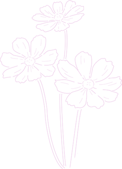 花言葉について